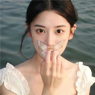 八公物语