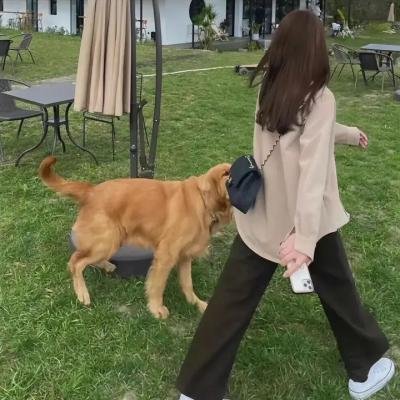 巫术奇观